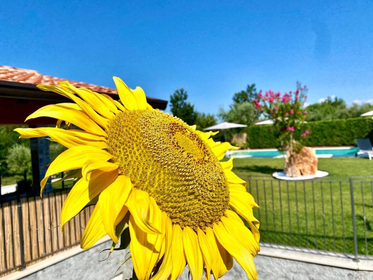 Villa Poggio Бардолино Екстериор снимка