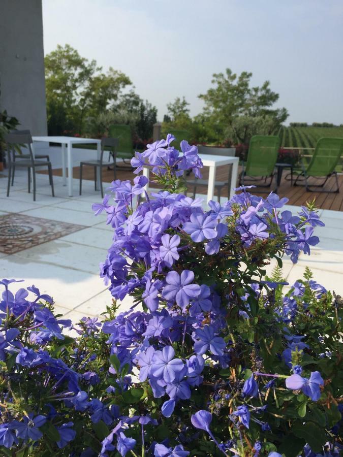 Villa Poggio Бардолино Екстериор снимка